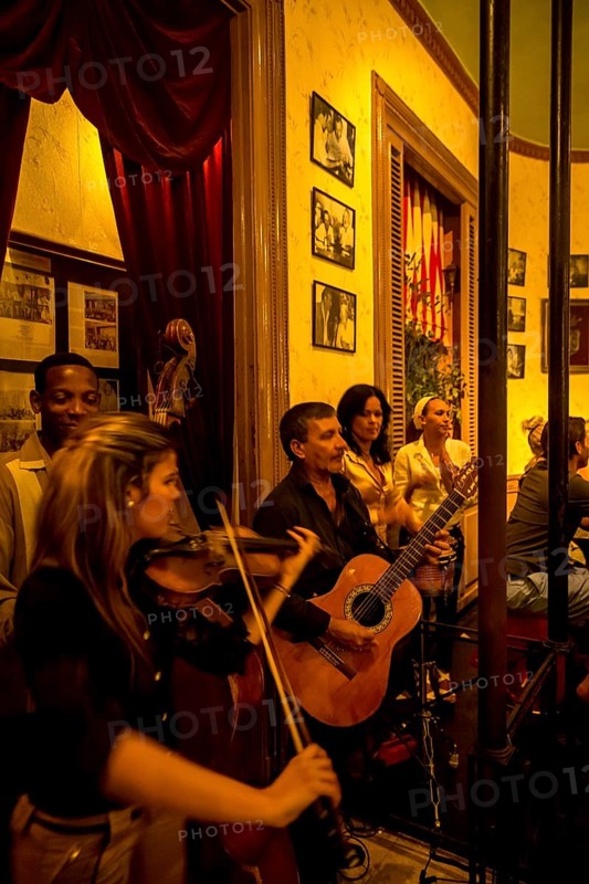 Hemingway s Bar En el Floridita, musician in one of the many music bars and music restaurants in Havana, Havana, La Habana, Cuba, Cuba, Central America