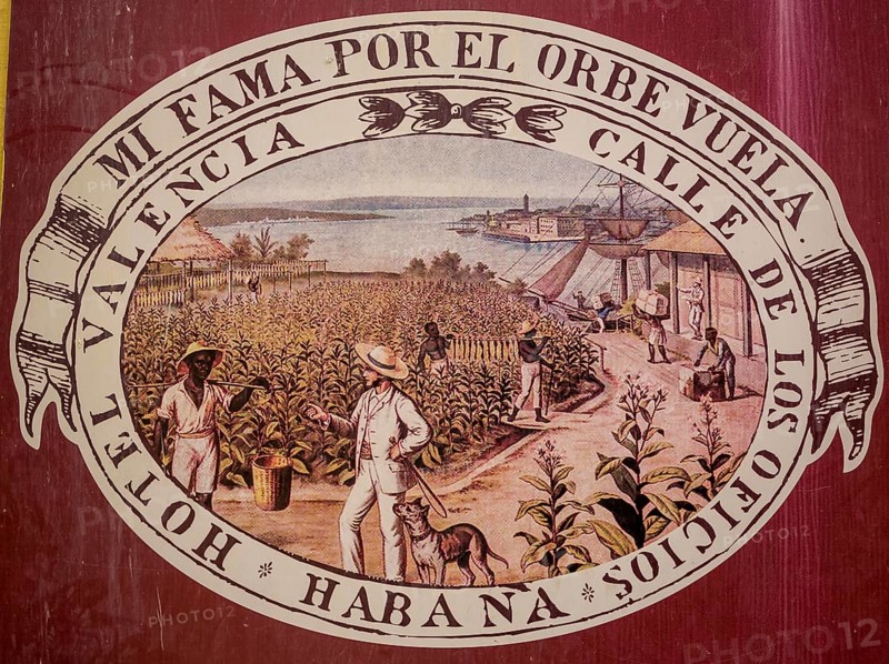 Tobacco poster in front of a Cuban cigar shop, La Habana, Cuba, Caribbean, Central America, Cuba, Europe, aerial view, birds-eyes view, aerial photography, aerial photography, overview, bird's eye view