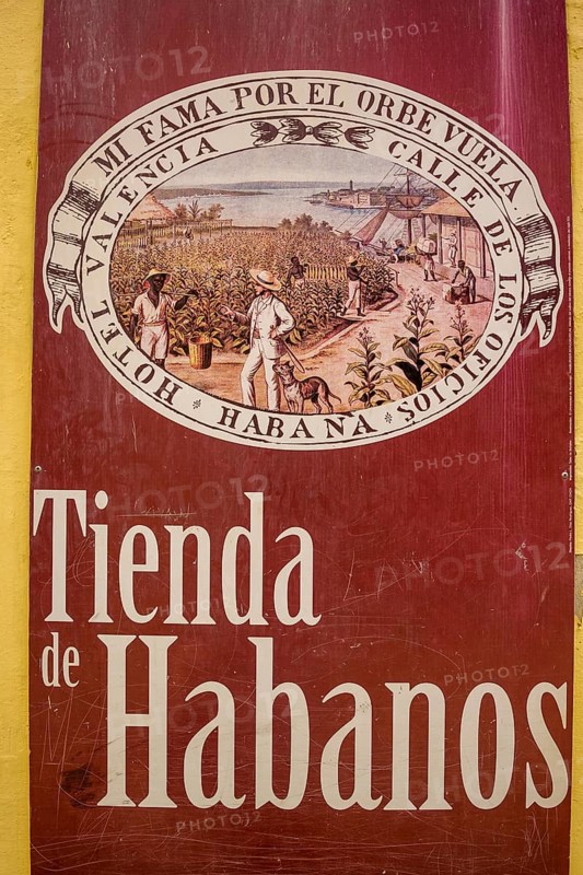 Tobacco poster in front of a Cuban cigar shop, La Habana, Cuba, Caribbean, Central America, Cuba, Europe, aerial view, birds-eyes view, aerial photography, aerial photography, overview, bird's eye view