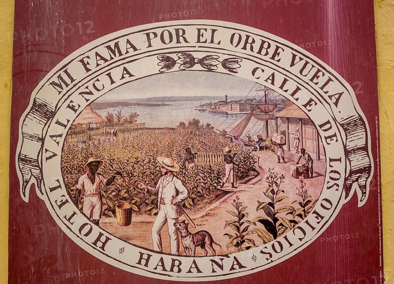 Tobacco poster in front of a Cuban cigar shop, La Habana, Cuba, Caribbean, Central America, Cuba, Europe, aerial view, birds-eyes view, aerial photography, aerial photography, overview, bird's eye view