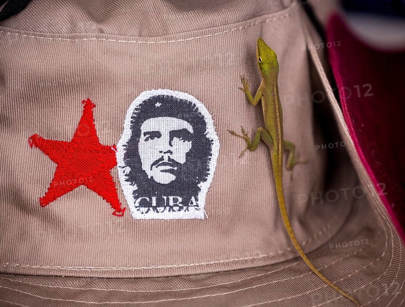 Beige cap with red Soviet star and gecko (Gekkonidae) and Ernesto Che Guevara sticker, La Habana, Cuba, Caribbean, Central America, Cuba, Europe, aerial photo, birds-eyes view, aerial photography, aerial photography, overview, bird's eye view