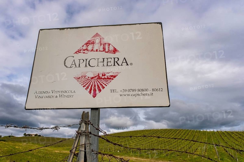 Sardinia, Azienda Vitivinicola, winery and vineyards, Coddu Vecchiu, Arzachena, Europe, province of Sassari, Italy, cultivation, architecture, relaxation, harvest, hills, landscape, agriculture, nature, panorama, production, vines, Sardinians, beauty, sightseeing, terraces, tourism, grapes, vinification, vineyards, vineyards, wine fields, wine bottles, winery, wine production, wine cellar, wine tasting, wine production, vines, winemaker, Italian, rural, Mediterranean, traditional