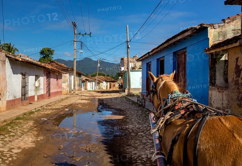 Street scene in Trinidadwith horseback and cobbled street with large puddle of rain, Trinidad, Cuba, Sancti Spíritus, Cuba, Sancti Spíritus