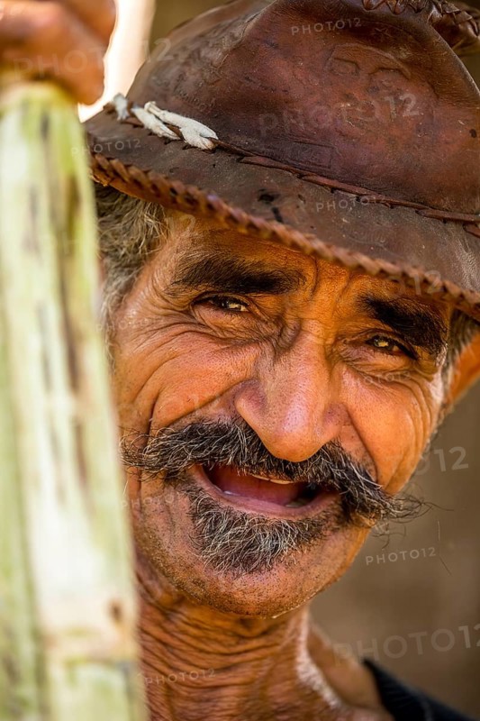 Sugar cane farmer in the Valle de los Ingenios with sugar cane stalks, Trinidad, Cuba, Sancti Spíritus, Cuba, Sancti Spíritus