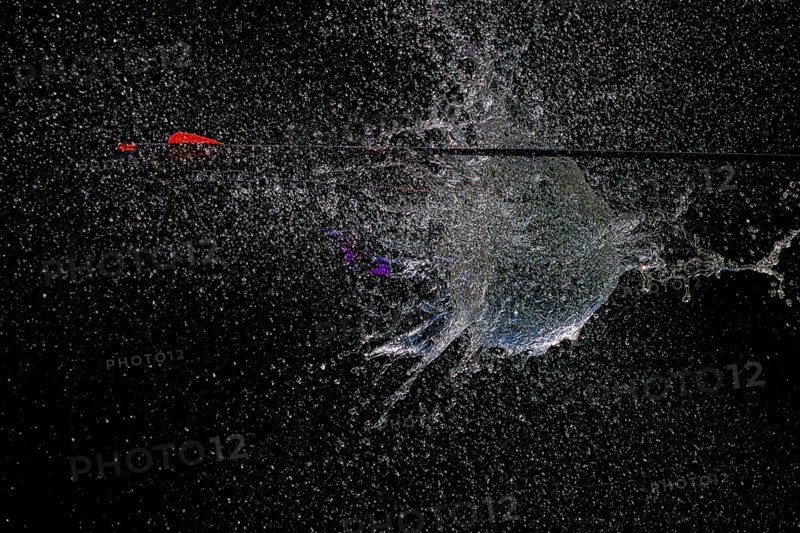 An arrow pierces a water balloon and creates a spectacular water spray explosion against a black background, high-speed shot, water balloon, arrow