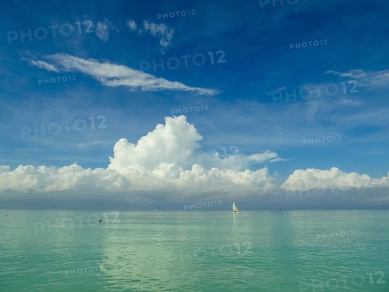 Sailing boat with pelican at the harbour of the hotel PARADISUS VARADERO RESORT SPA, Varadero, Cuba, Matanzas, Cuba, Central America