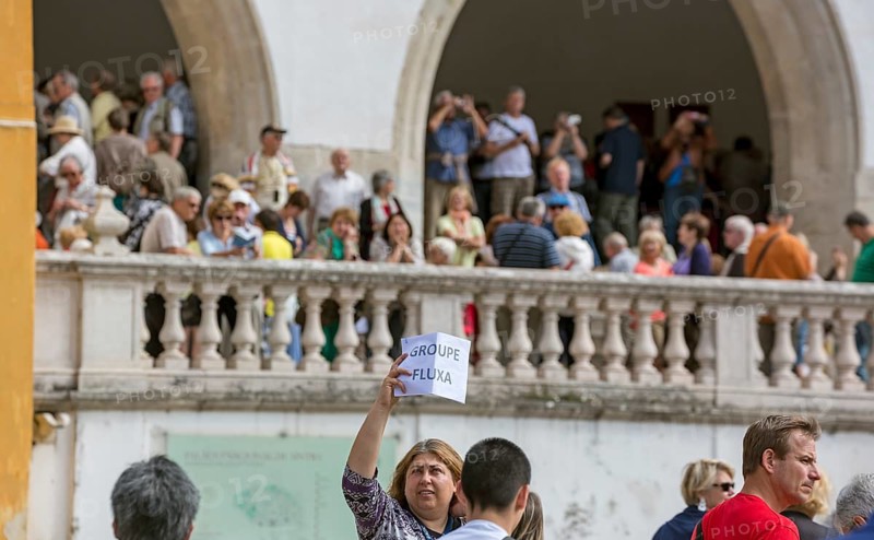 Mass tourism, crowds at the Palacio Nacional da Pena, Sintra, Sintra-Cascais Natural Park, Grande Lisboa, Greater Lisbon, Portugal, Europe, Lisbon district