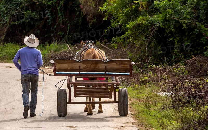 Cuban cowboy rider walking next to his one-horse cart, Valle de los Ingenios, Trinidad, Cuba, Sancti Spíritus, Cuba
