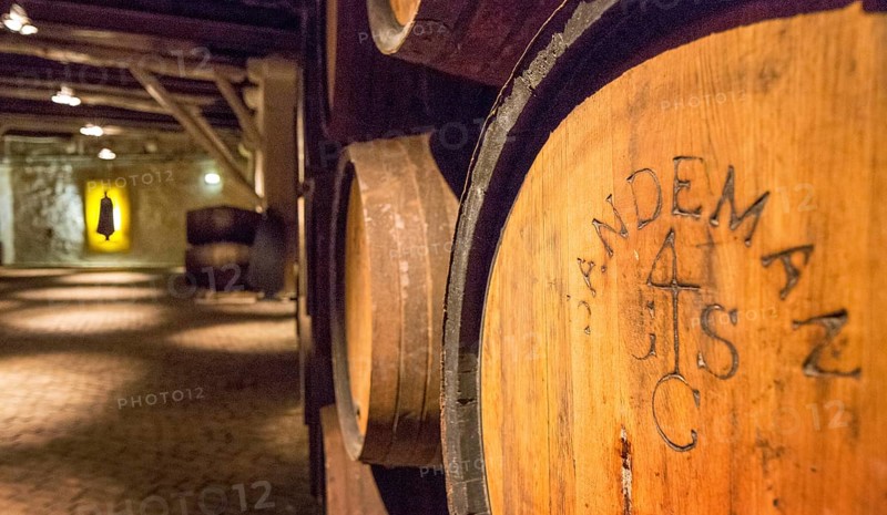 Port wine barrels, wine cellar of the Sandemann winery in Gaia, Porto, Vila Nova de Gaia, Porto district, Portugal, Europe, aerial view, birds-eyes view, travel, travel photography