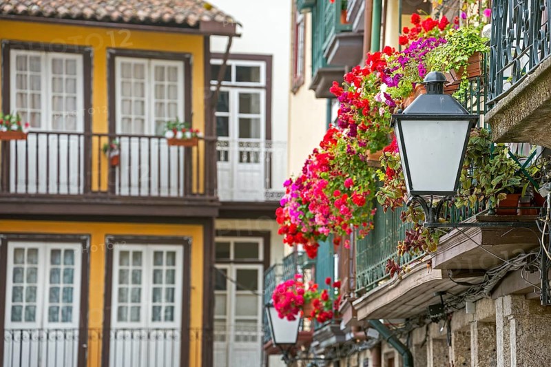 Hanging baskets on the balconies of the old town in Guimaraes, Guimaraes, Braga district, Portugal, Europe, aerial view, birds-eyes view, Travel, Travel photography