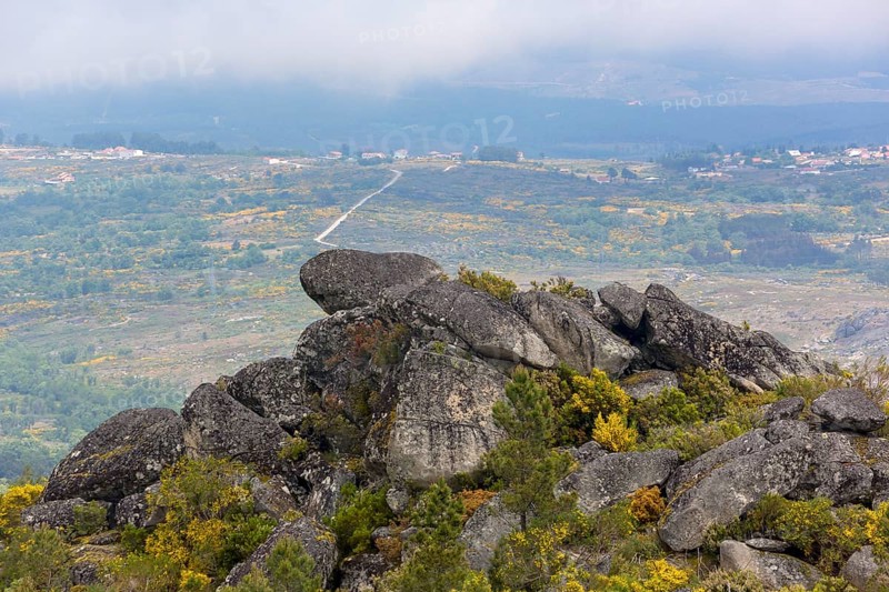 Barren highlands with broom bushes in bloom in the Sierra do Alvao, MondrÃµes, Vila Real district, Portugal, Europe, Mondräes, aerial view, birds-eyes view, Travel, Travel photography