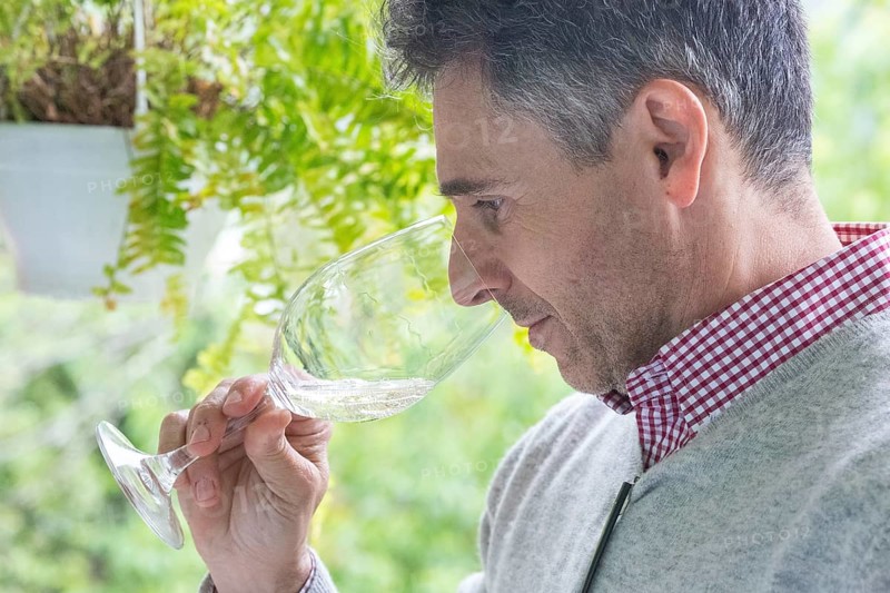 Wine tasting with the estate owner Jose, Casa de Sezim, Grande Escolha winery in the Minho region, the garden of Portugal, Nespereira, Braga district, Portugal, Europe, aerial view, birds-eyes view, Travel, travel photography