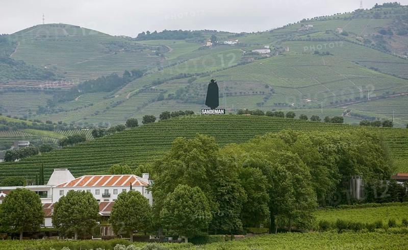 Company symbol of the Sandman port winery in the vineyards, vineyards in the middle Douro valley, port wine growing area, Godim, Vila Real district, Portugal, Europe, aerial view, birds-eyes view, travel, travel photography