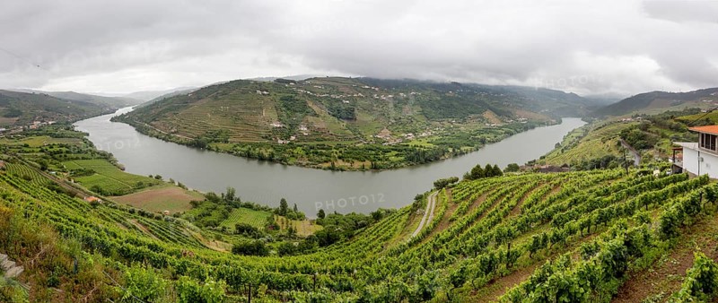 Central Douro wine region, river, Douro valley, vineyards, panorama, Santa Cristina, Vila Real district, Portugal, Europe, aerial view, birds-eyes view, travel, travel photography
