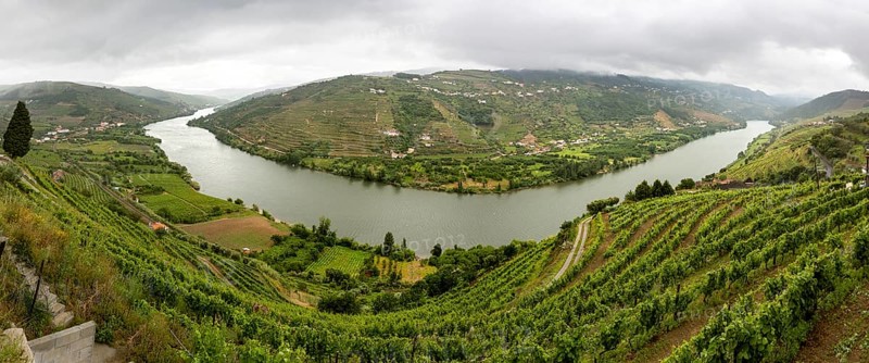 Central Douro wine region, river, Douro valley, vineyards, panorama, Santa Cristina, Vila Real district, Portugal, Europe, aerial view, birds-eyes view, travel, travel photography