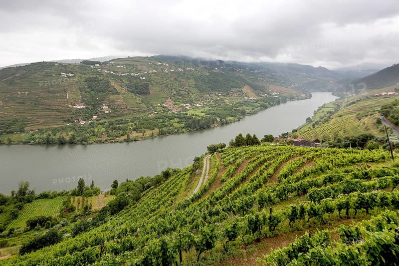 Wine-growing region middle Douro, river, Douro valley, vineyards, Santa Cristina, district Vila Real, Portugal, Europe, aerial view, birds-eyes view, Travel, travel photography