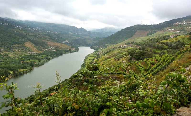 Wine-growing region middle Douro, river, Douro valley, vineyards, Santa Cristina, district Vila Real, Portugal, Europe, aerial view, birds-eyes view, Travel, travel photography
