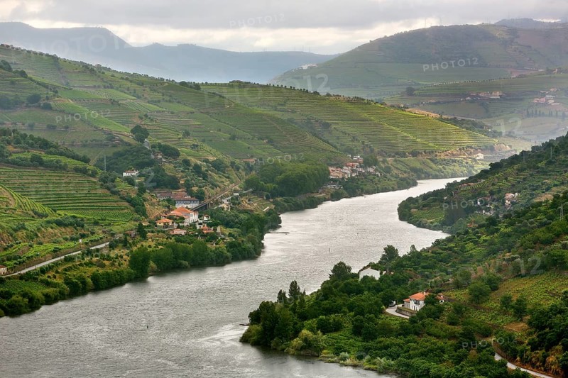 Wine-growing region middle Douro, river, Douro valley, vineyards, Santa Cristina, district Vila Real, Portugal, Europe, aerial view, birds-eyes view, Travel, travel photography