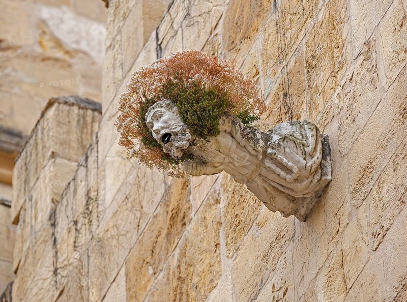 Gargoyle, Rain spout on the church facade Old Cathedral (Sé Velha), Old Town of Coimbra, Coimbra, Coimbra District, Portugal, Europe, aerial view, birds-eyes view, Travel, Travel Photography