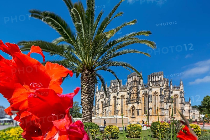 Hibiscus blossom, Hibiscus, Mallow (Hibiscus), Monastery of Santa Maria da VitÃüria, UNESCO World Heritage Site, Monastery Church of Batalha, Mosteiro da Batalha, Batalha, Leiria District, Portugal, Europe, aerial view, birds-eyes view, Travel, Travel Photography