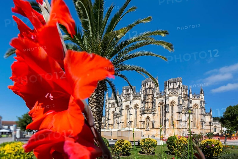 Hibiscus blossom, Hibiscus, Mallow (Hibiscus), Monastery of Santa Maria da VitÃüria, UNESCO World Heritage Site, Monastery Church of Batalha, Mosteiro da Batalha, Batalha, Leiria District, Portugal, Europe, aerial view, birds-eyes view, Travel, Travel Photography