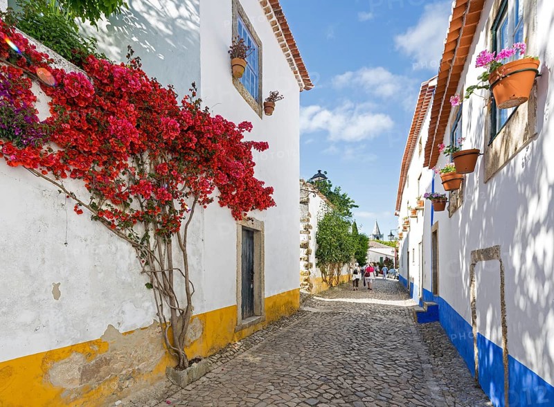 Picturesque facades with primroses and flower pots, picturesque small town Obidos, Ãbidos, district Leiria, Portugal, Europe, Óbidos, aerial view, birds-eyes view, Travel, travel photography