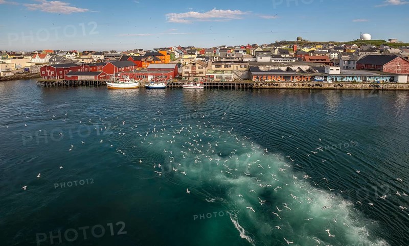 Fishing boats in the harbour with seagulls, Street Art Eternal Light Eternal Night, Observatory Vardø, View of Vardø, Finnmark, Norway, Scandinavia, Europe, Adventure travel, Astronomy, Boats, Tourism, Graffiti eternal light eternal night, Hurtigruten, Hurtigruten voyage, cruise, Maximilian Hell and the transit of Venus, NOR, pile dwellings, travel, destination, ship, ships, sea voyage, sightseeing, observatory, tourism, Norwegian, Scandinavian, tourist, easternmost municipality in Norway