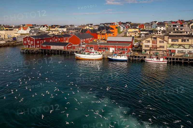 Fishing boats in the harbour with seagulls, view of Vardø, Finnmark, Norway, Scandinavia, Europe, adventure trip, boats, tourism, Hurtigruten, Hurtigruten trip, cruise, NOR, pile dwellings, journey, destination, ship, ships, sea voyage, sightseeing, tourism, Norwegian, Scandinavian, tourist, easternmost municipality of Norway