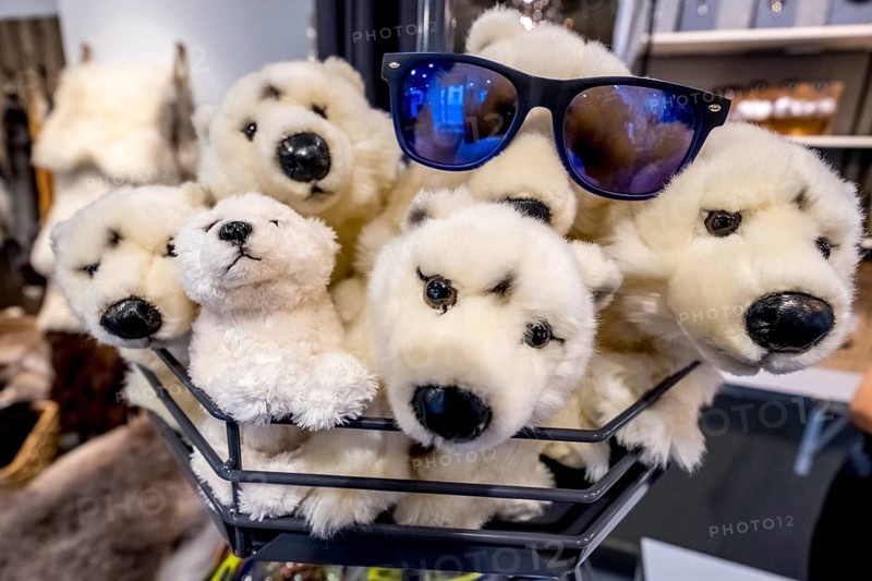 Polar bears stuffed animals, Tromsø, Troms, Norway, Scandinavia, Europe, adventure travel, tourism, Hurtigruten, Hurtigruten voyage, cruise, NOR, travel, destination, sea voyage, sightseeing, tourism, Tromsø, sales display, sales rack, Norwegian, Scandinavian, touristy