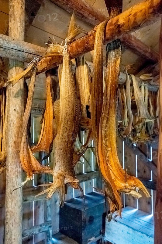 Lofotmuseet, Lofoten Museum, Kabelvåg, Nordland, Norway, Scandinavia, Europe, adventure travel, destination, fishing huts, tourism, Hurtigruten, Hurtigruten voyage, Kabelvåg, cruise, life of the Lofoten fishermen, life of the Lofoten people, Lofoten, Lofoten fishing, museum, NOR, travel, destination, sea voyage, sight, sightseeing, stockfish preparation, Storvåganveien, tourism, living and working, living and life, old huts, former fishing village, historical, Norwegian, Scandinavian, touristic