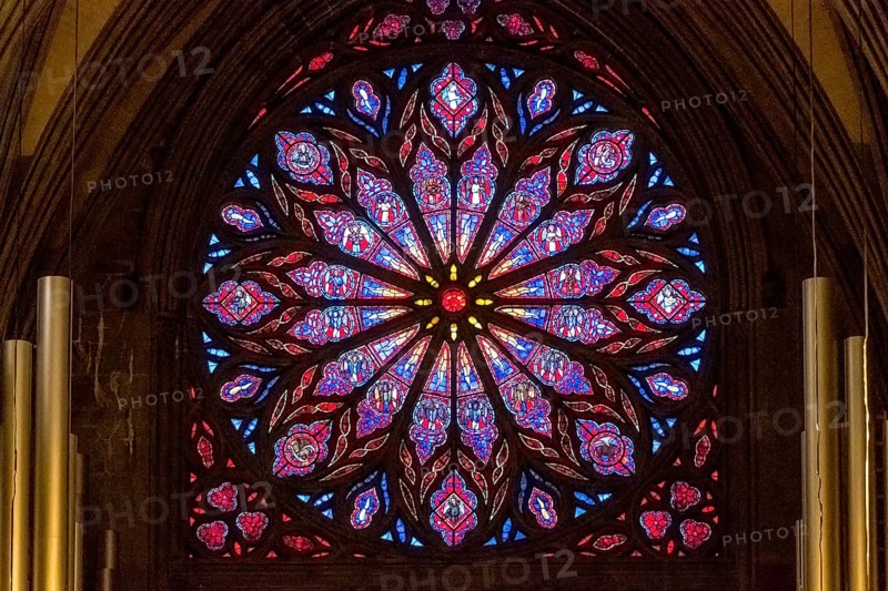 Nidaros Cathedral, cathedral, stained glass window, rose window, Trondheim, Trøndelag, Norway, Scandinavia, Europe, adventure travel, Office of the Presidents of the Norwegian Bishops' Conference, place of worship, Domkirke, tourism, religious community, place of worship, Hurtigruten, Hurtigruten voyage, church, church community, denomination, Kongsgårdsgata, cruise, NOR, national shrine, travel, destination, religion, sea voyage, sightseeing, tourism, Trøndelag, gothic architecture, Norwegian, Scandinavian, tourist