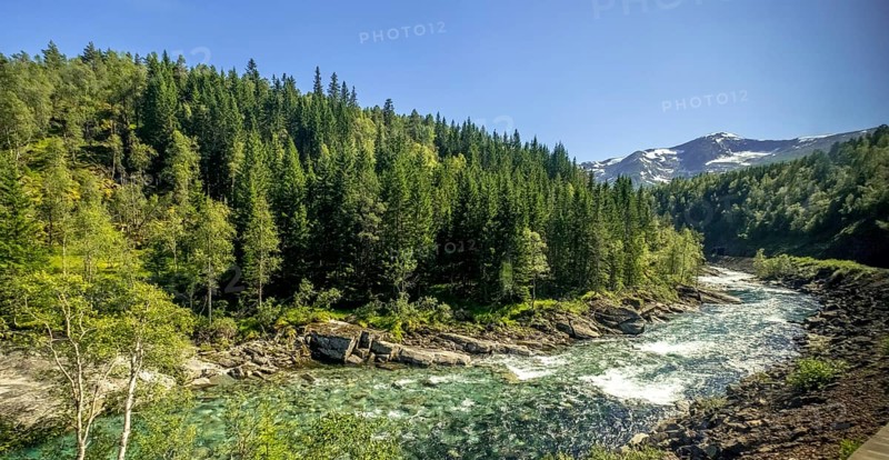 River in the mountains, forest, stones, sky, Vossestrand, Hordaland, Norway, Scandinavia, Europe, NOR, travel, tourism, destination, sightseeing, sea voyage, Hurtigruten, Hurtigruten trip, tourism, Norwegian, Scandinavian, tourist, cruise, adventure trip, riverbed, water, waters, trees, spruce, mixed forest, snow peaks, crystal blue, travelling on the Flam Railway, Flam Railway