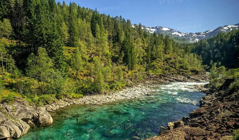 River in the mountains, forest, stones, sky, Vossestrand, Hordaland, Norway, Scandinavia, Europe, NOR, travel, tourism, destination, sightseeing, sea voyage, Hurtigruten, Hurtigruten trip, tourism, Norwegian, Scandinavian, tourist, cruise, adventure trip, riverbed, water, waters, trees, spruce, mixed forest, snow peaks, crystal blue, travelling on the Flam Railway, Flam Railway
