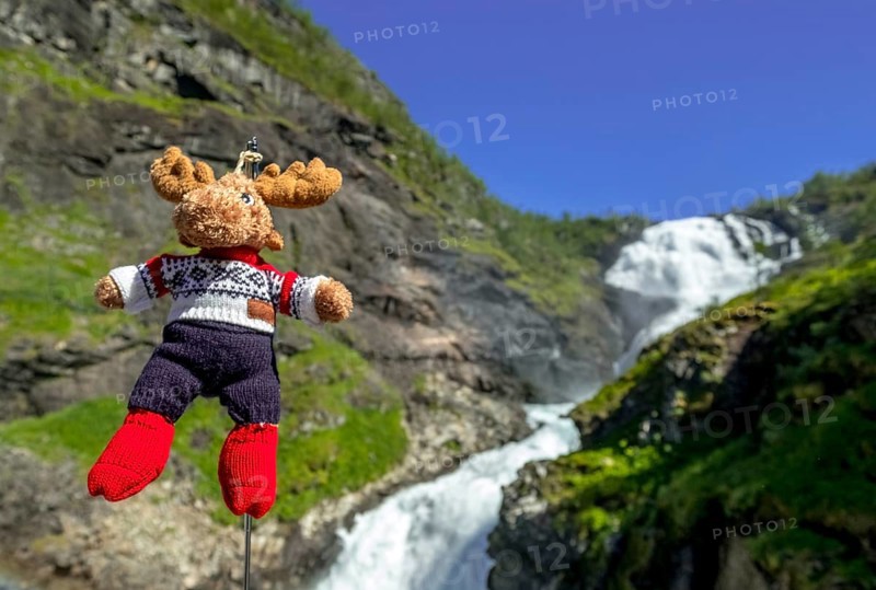Kjosfossen waterfall, mascot moose in front of waterfall, mountain, rock faces, meadow, sky, Fureberget, Flåm, Sogn og Fjordane, Norway, Scandinavia, Europe, Flåm, NOR, travel, tourism, destination, sightseeing, sea voyage, Hurtigruten, Hurtigruten trip, tourism, Norwegian, Scandinavian, tourist, cruise, adventure trip, waterfall, waters, trees, mountains, train journey, tour, travel by Flam Railway, Flam Railway