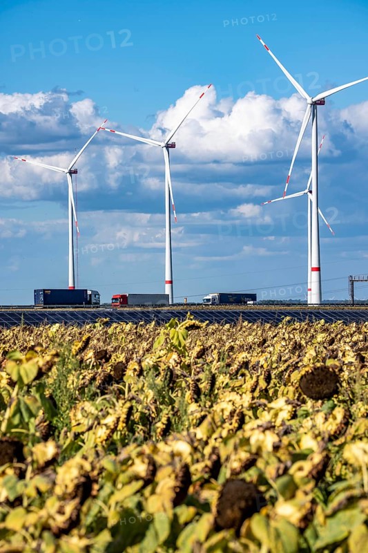 86, 5 MW peak ground-mounted photovoltaic systems, from RWE, with over 141, 000 solar modules, on a verge, over 1 km long, along the A44 motorway near Bedburg, at the Jackerath junction, recultivated open-cast mining site, wind farm north of Titz, North Rhine-Westphalia, Germany