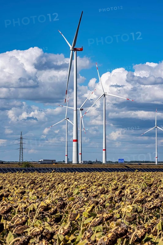 86, 5 MW peak ground-mounted photovoltaic systems, from RWE, with over 141, 000 solar modules, on a verge, over 1 km long, along the A44 motorway near Bedburg, at the Jackerath junction, recultivated open-cast mining site, wind farm north of Titz, North Rhine-Westphalia, Germany