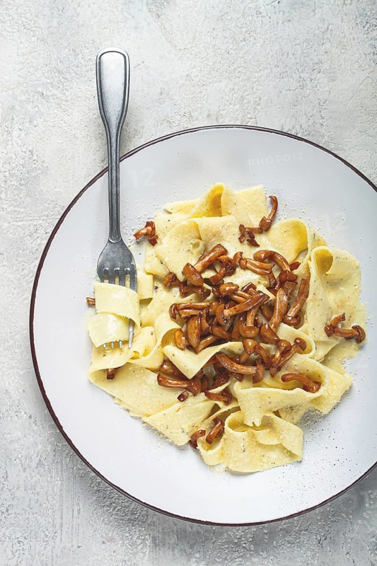Pasta papardelle, in creamy garlic sauce, with mushrooms, traditional Italian cuisine, pasta carbonara, homemade, no people