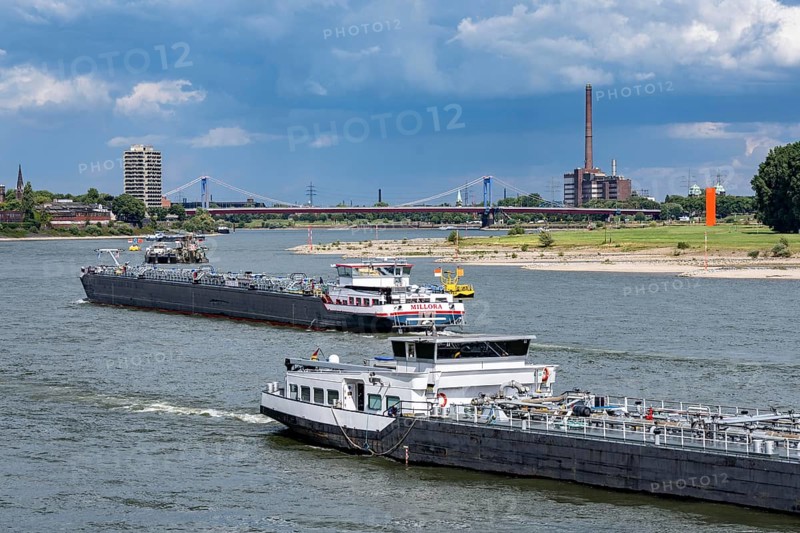 Cargo ships on the Rhine near Duisburg, in the background the Friedrich-Ebert-Bridge between Duisburg-Homberg and Rheinhausen, North Rhine-Westphalia, Germany