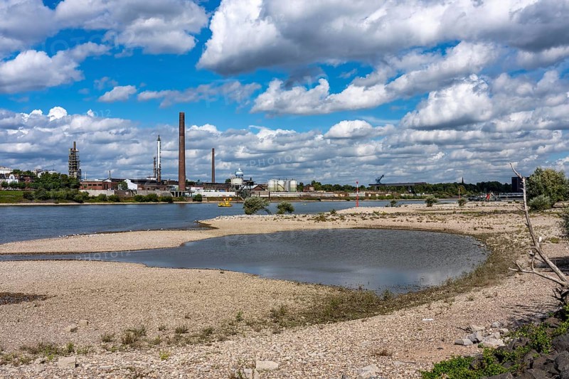 Rhine near Duisburg, low water, Rhine level, the right bank of the Rhine, near Duisburg-Neuenkamp, falls dry, North Rhine-Westphalia, Germany