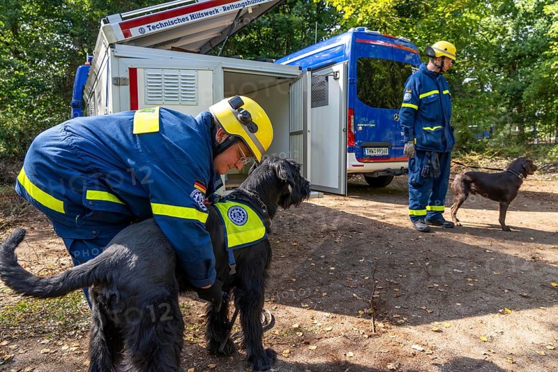 Dog handlers with rescue dogs from the Specialist Locating Group get ready for action, the sniffer dogs are to track down people in e.g. collapsed buildings, large-scale exercise FÜLEX25 lasting several days, organised by the THW, Federal Agency for Technical Relief, North Rhine-Westphalia regional association, over 3500 volunteers from the 127 North Rhine-Westphalia local associations practise on 4 weekends, many different operational scenarios