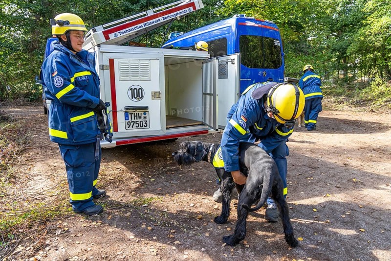 Dog handlers with rescue dogs from the Specialist Locating Group get ready for action, the sniffer dogs are to track down people in e.g. collapsed buildings, large-scale exercise FÜLEX25 lasting several days, organised by the THW, Federal Agency for Technical Relief, North Rhine-Westphalia regional association, over 3500 volunteers from the 127 North Rhine-Westphalia local associations practise on 4 weekends, many different operational scenarios