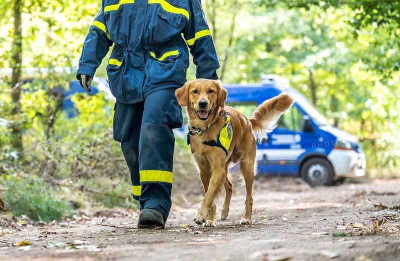 Dog handlers with rescue dogs from the Specialist Locating Group get ready for action, the sniffer dogs are to track down people in e.g. collapsed buildings, large-scale exercise FÜLEX25 lasting several days, organised by the THW, Federal Agency for Technical Relief, North Rhine-Westphalia regional association, over 3500 volunteers from the 127 North Rhine-Westphalia local associations practise on 4 weekends, many different operational scenarios