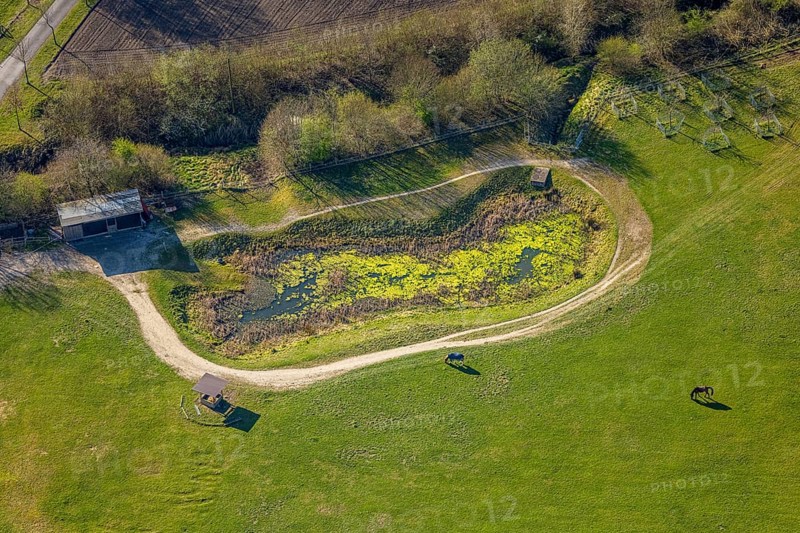 Aerial view, horse pasture and pond at Katzbach, Südkirchen, Nordkirchen, Münsterland, North Rhine-Westphalia, Germany, DE, Europe, aerial view, aerial photography, aerial photography, overview, bird's-eye view, overview
