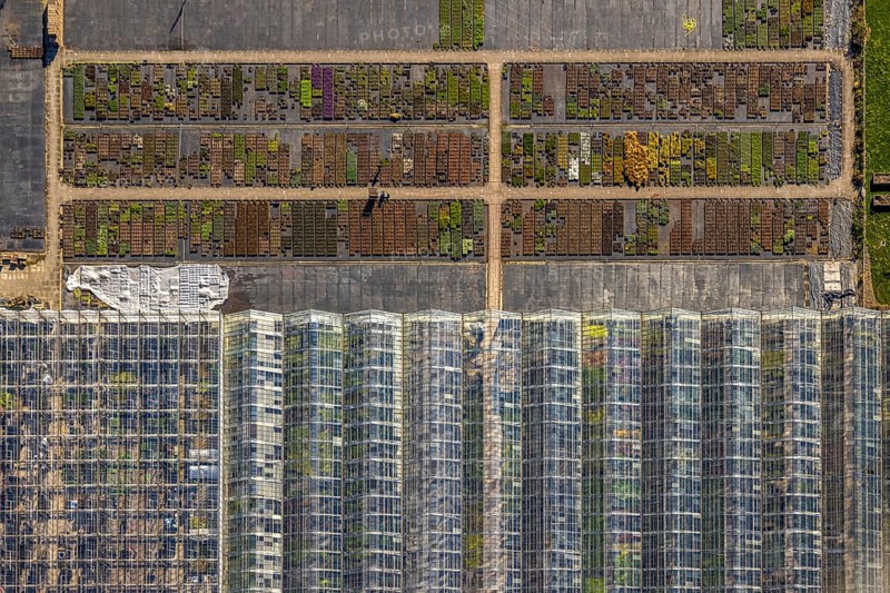 Aerial view, horticultural business Heutinck Pflanzen GmbH, greenhouse roof and flower bed, shapes and colours, vertical shot, Südkirchen, Nordkirchen, Münsterland, North Rhine-Westphalia, Germany, DE, Europe, aerial view, aerial photography, aerial photography, overview, bird's-eye view, birds-eyes view, overview