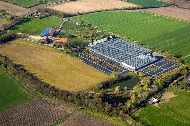 Aerial view, horticultural business Heutinck Pflanzen GmbH, greenhouse and flower bed, Südkirchen, Nordkirchen, Münsterland, North Rhine-Westphalia, Germany, DE, Europe, aerial view, aerial photography, aerial photography, overview, bird's-eye view, overview