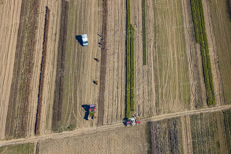 Aerial view, agricultural field work with tractor and manual labour, Würdinghausen, Kirchhundem, Sauerland, North Rhine-Westphalia, Germany, agricultural landscape, DE, Europe, agricultural machinery, agriculture, agricultural fields, aerial view, aerial photography, aerial photography, overview, bird's-eye view, overview