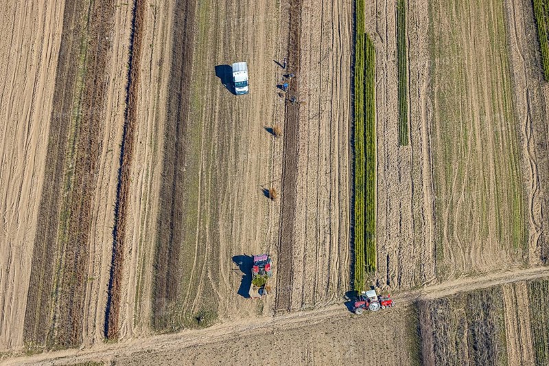 Aerial view, agricultural field work with tractor and manual labour, Würdinghausen, Kirchhundem, Sauerland, North Rhine-Westphalia, Germany, agricultural landscape, DE, Europe, agricultural machinery, agriculture, agricultural fields, aerial view, aerial photography, aerial photography, overview, bird's-eye view, overview