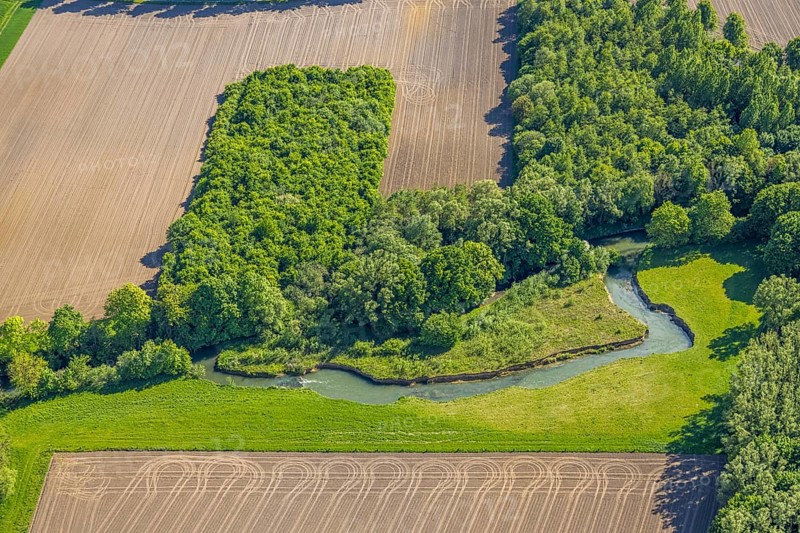 Aerial view, Gravenkamp area with meadows and fields, river Ahse, Uentrop, Hamm, Ruhr area, North Rhine-Westphalia, Germany
