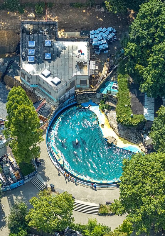 Aerial view, Duisburg Zoo, sea lion enclosure and construction site with modernisation and extension, construction crane, playground, Duissern, Duisburg, Ruhr area, North Rhine-Westphalia, Germany