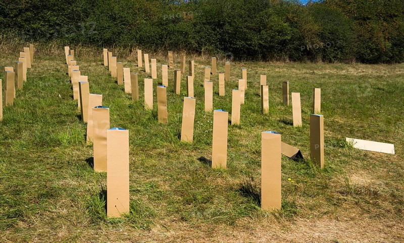 The Installation AUFFORSTUNG, REFORESTATION by Matthias Block, 12th international wind art festival 2025, landscape exhibition bewegter wind, Zierenberg, Northern Hesse, Germany